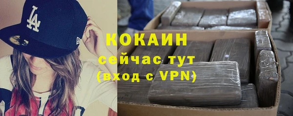 винт Алексин