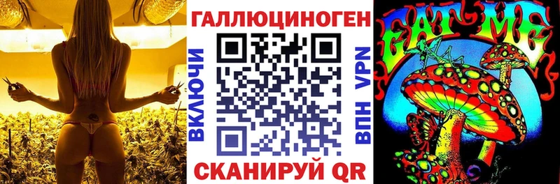 купить наркотики цена  Шарыпово  Галлюциногенные грибы мицелий 